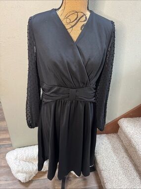 Black V-Neck Long Sleeve Smocked Waist Dress